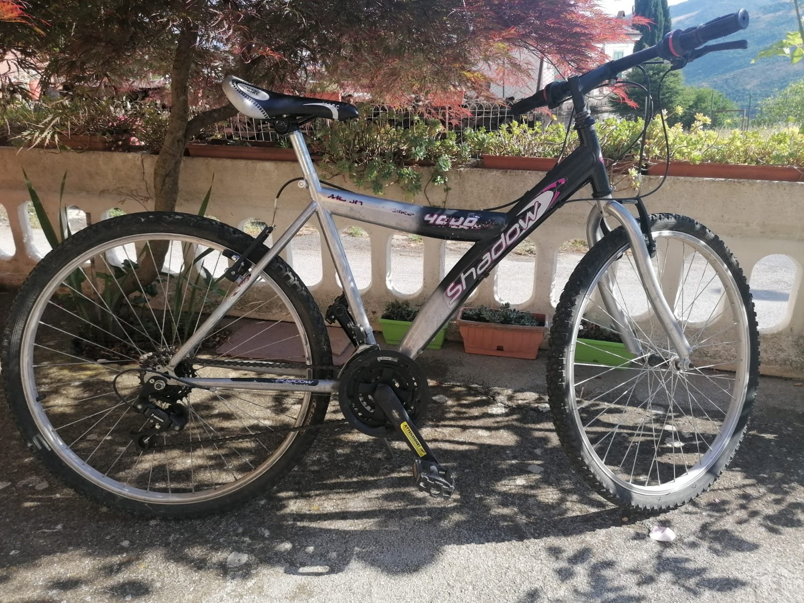 Mountain Bike - Immagine 1