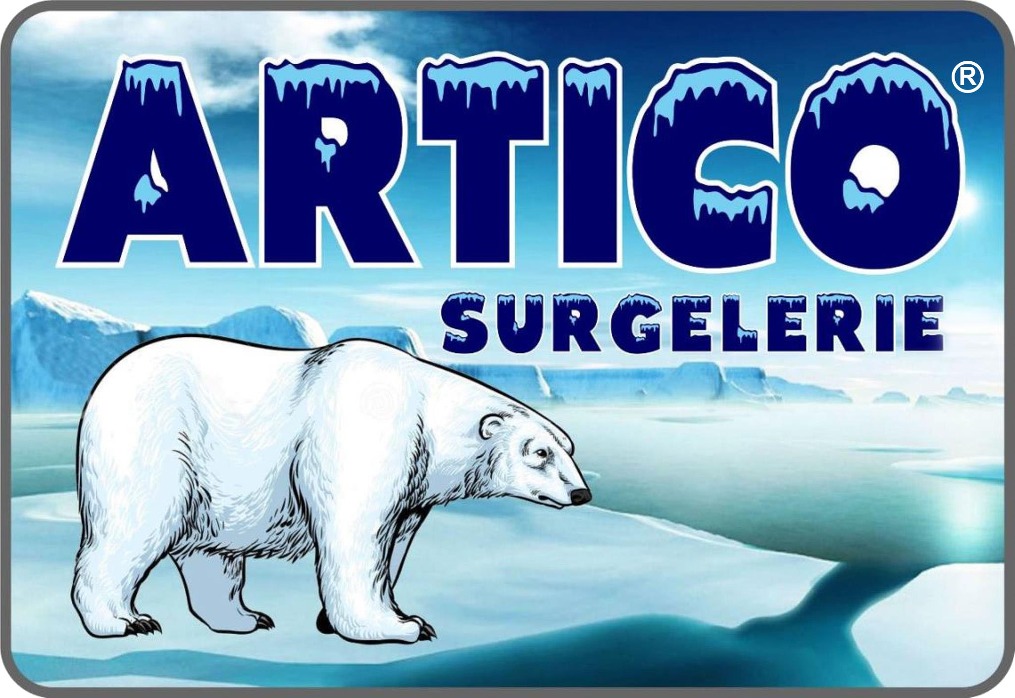ARTICO SURGELERIE